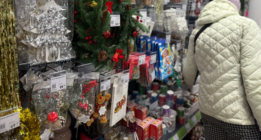 Новинки из любимого Фикс Прайса бьют все рекорды крутости: мой личный топ - 5 новогодних покупок из этого магазина 