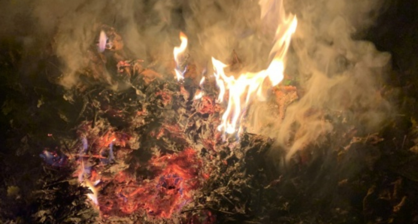  «Взрывные зимние каникулы»: местные жители обеспокоены продажей пиротехники школьникам