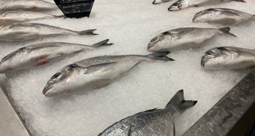 Месяц прожила в Норвегии и поняла, почему местные едят рыбу вместо мяса: дело не в традициях