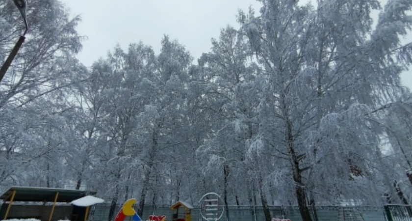 «Снежная ловушка во дворе»: жители требуют вывоз снега
