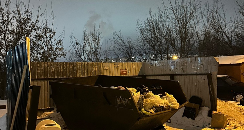 В Медногорске наблюдается превышение численности грызунов