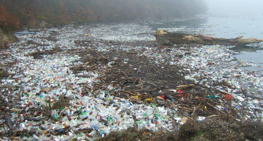 Слетала в Алтай и всех теперь отговариваю: не природа и свежий воздух, а свалка и смрад — развешивают нижнее белье на глазах у детей