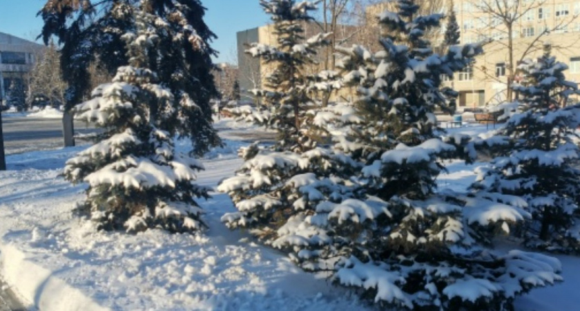 «Белая глушь и деревянная крепость»: как ветки и снег завоевали двор