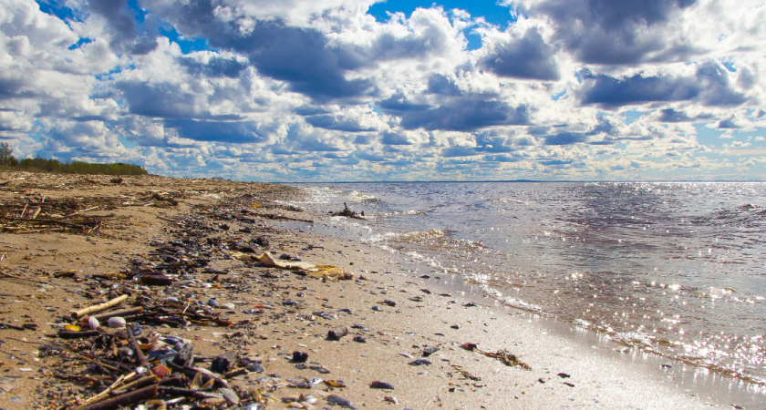 Обратная сторона Сочи: о чем молчат путеводители