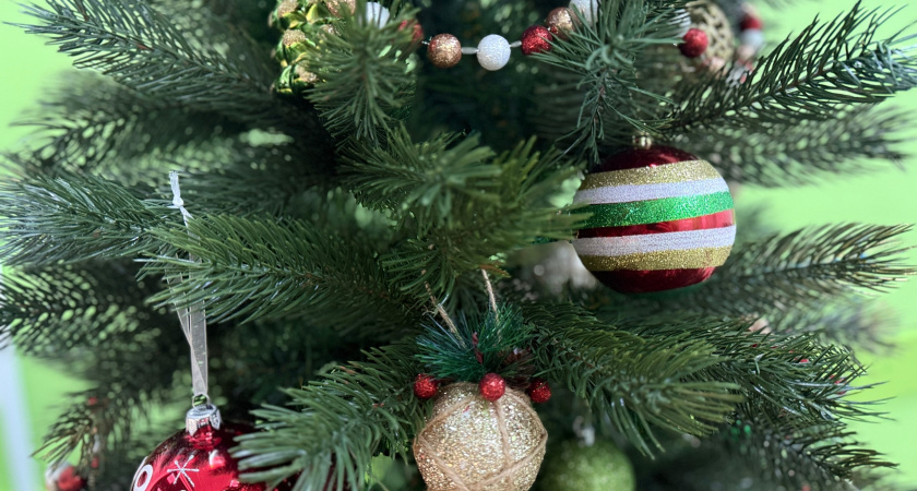 Оренбуржцы могут купить новогоднее дерево на 17 елочных базарах