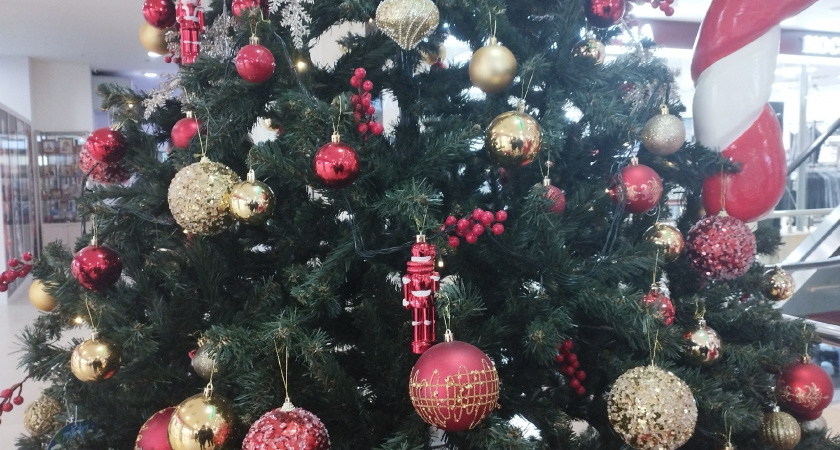 Губернаторскую елку в СК «Оренбуржье» посетили 2 500 ребят со всей области