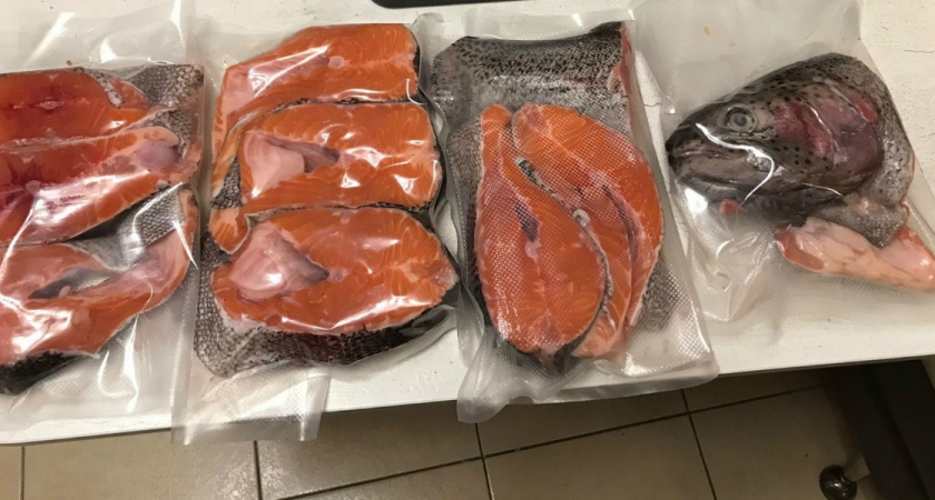 Форель из "Светофора" для засолки икры: купил, принес домой, и вот что нашел - честный отзыв