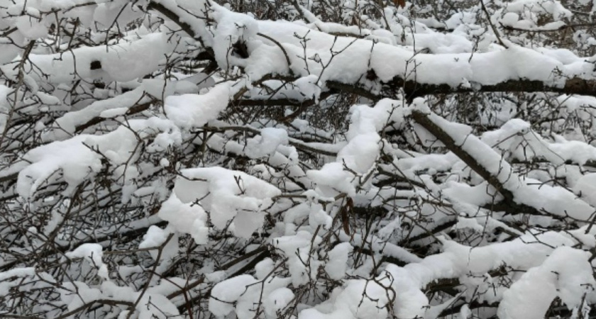 «Снег лежит, а служба молчит»: почему УК отказывается убирать снег