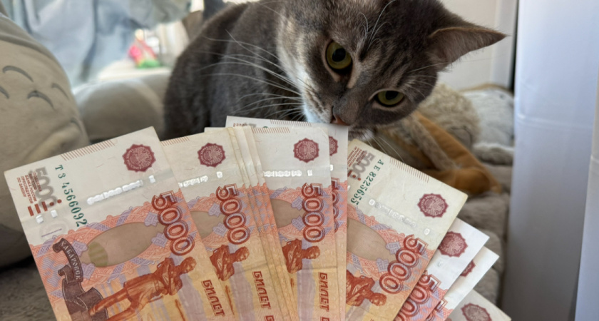 Поехала в Крым с 50000 — вернулась с миллионом: россиянка с первых дней поняла, как можно зарабатывать на юге