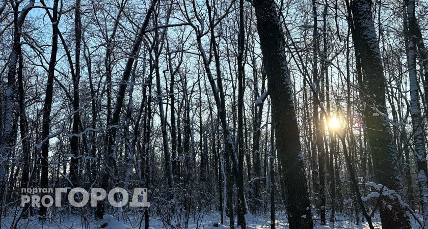 Горнолыжные курорты Оренбуржья стали главными точками притяжения на каникулах