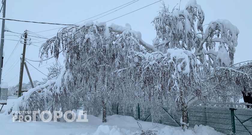 В Оренбургской области водителей просят отказаться от поездок из-за сильного снега
