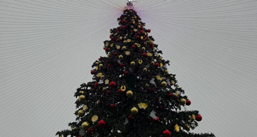 Молодежь Оренбуржья подвела итоги 2025 года