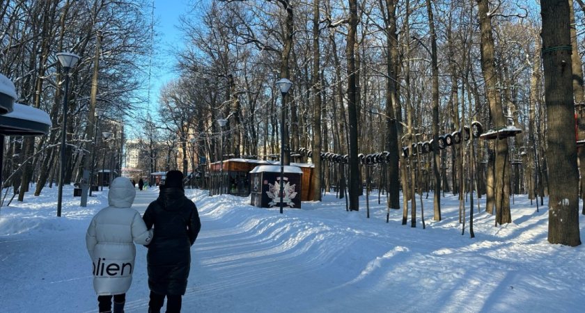 В Бузулукском бору для животных с начала сезона завезли 30 тонн пшеницы