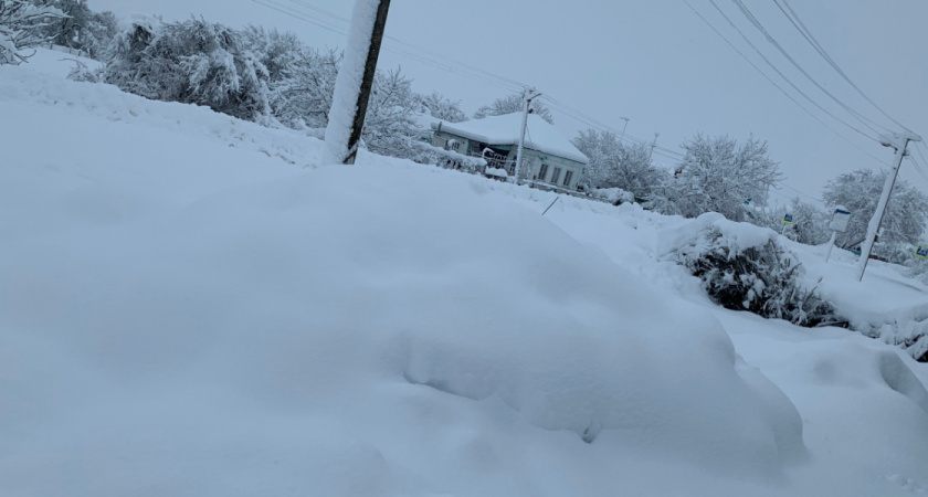 Как живут в Российском селе, которое признали одним из лучших в мире: 2 часа на электричке от Москвы и на такси по полю