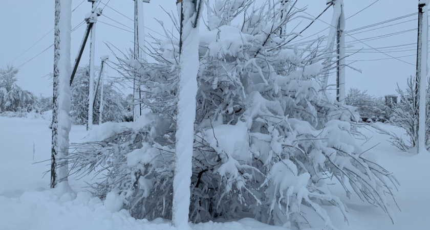 Какая погода ждет Оренбургскую область на этой неделе