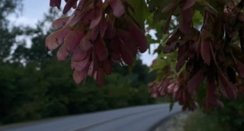 «Жизнь в тупике»: что делать, если между городом и домом образовалась пропасть без маршрутов