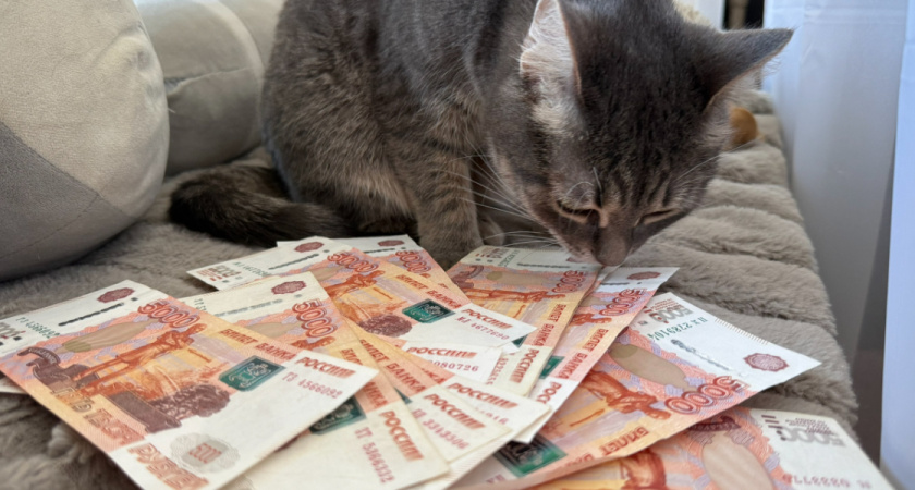 Бывшему депутату Оренбуржья не вернули имущество на 38 миллионов рублей