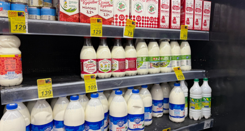 Молоко из «Пятерочки» — стоит ли брать: проверка вкуса, состава и натуральности