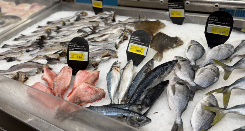 Назвали самую полезную рыбу: богата омега  - не хуже лосося, а стоит копейки