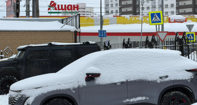 В Оренбурге «Ремдорстой» внезапно удалил из госзакупок авто за 7 миллионов рублей