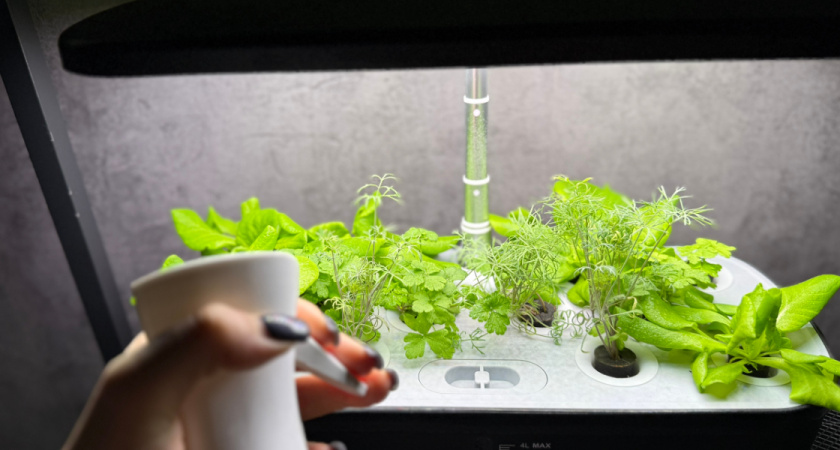 Не пустая трава, а источник витаминов: назвали самую полезную зелень - ешьте каждый день в обед или на ужин