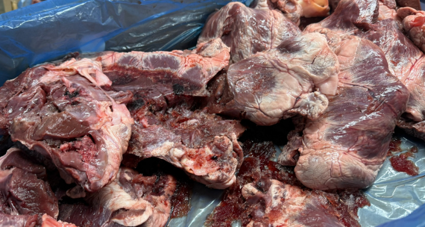 «Светофор»: где экономия — умна, а где — опасна. Личный опыт покупателя