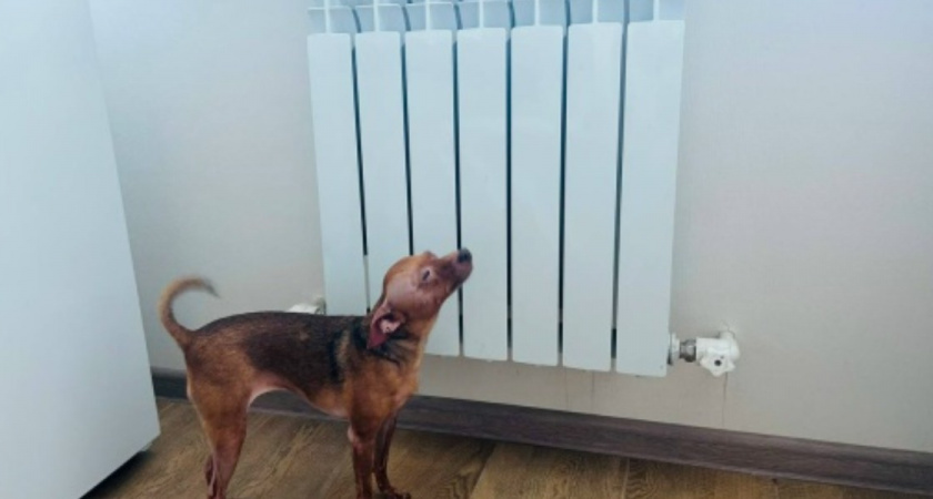 «Холод не вышел из моды»: почему дома превращаются в холодильники