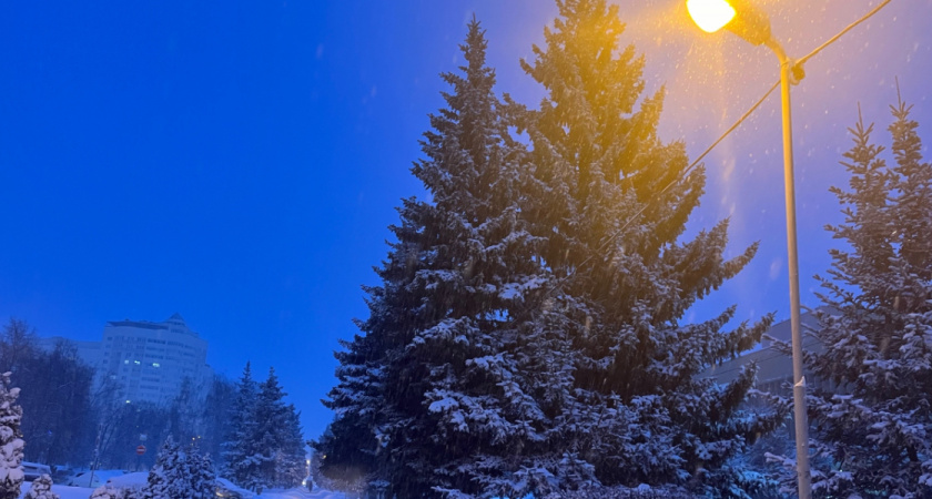 Жителям Оренбуржья рассказали, в какой части региона ждать аномально холодную ночь