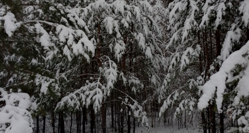 В Оренбуржье засняли живого ровесника мамонтов