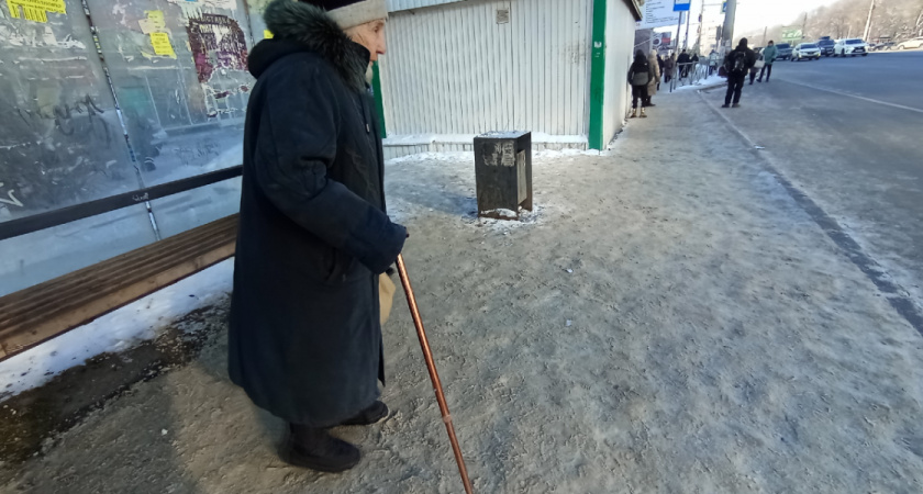 В Оренбурге мужчину оштрафовали на 8 тысяч руб. за удар пенсионерки лопатой из-за собаки