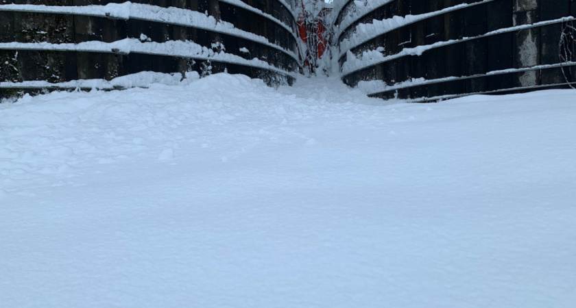 Поиски пропавшего под Оренбургом мальчика закончены