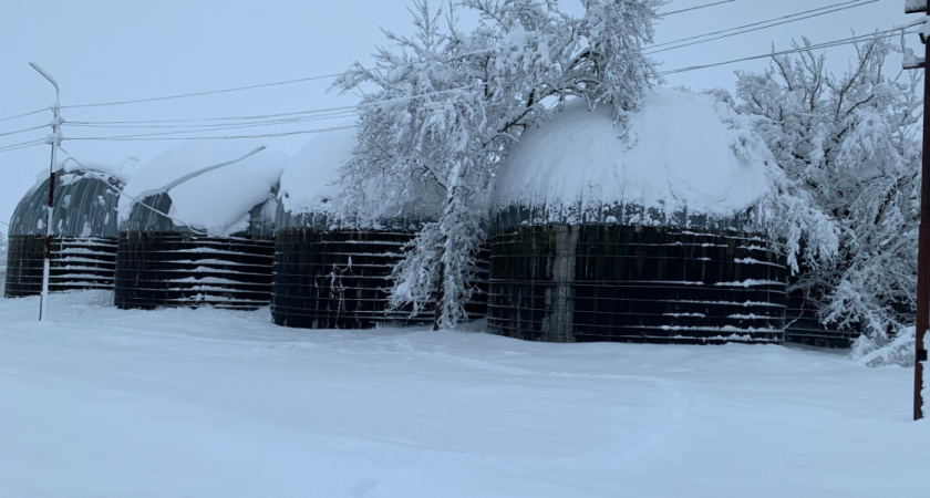 В Оренбуржье из-за порыва нефтепровода загрязнено более тысячи квадратных метров земли