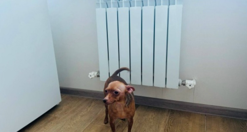 «Во льдах собственного дома»: почему отопление может быть таким нестабильным