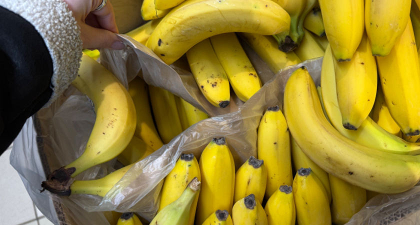 В Оренбуржье не допустили 200 тонн зараженных фруктов и овощей