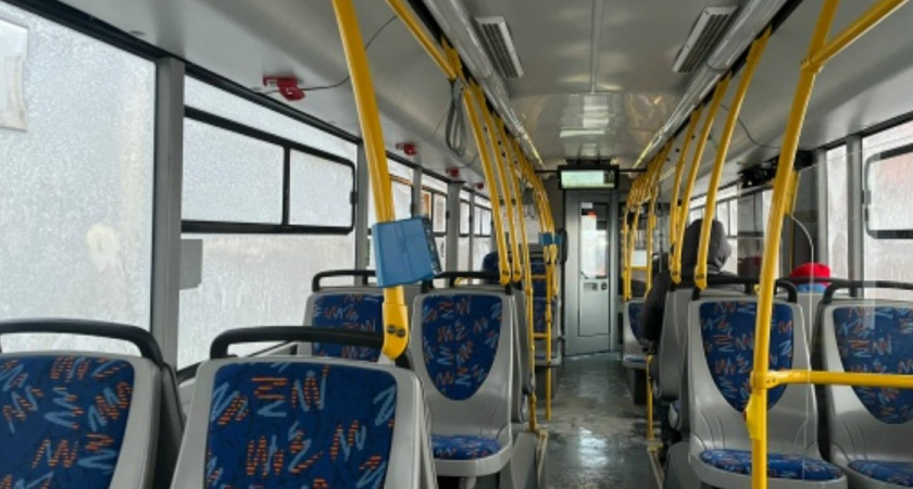 «Застряли в ловушке остановки» — ежедневный стресс пассажиров