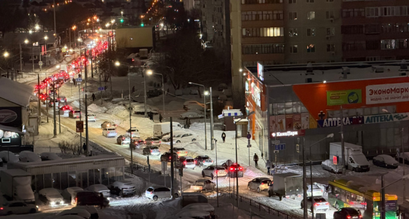 Оренбуржье неблагополучно по бешенству, бруцеллезу и лейкозу
