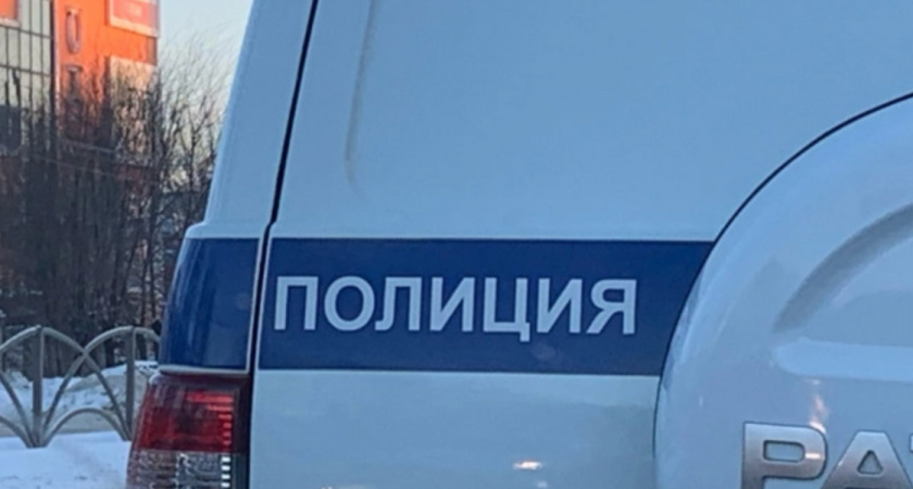 Житель Оренбуржья ударил гостя топором по ноге