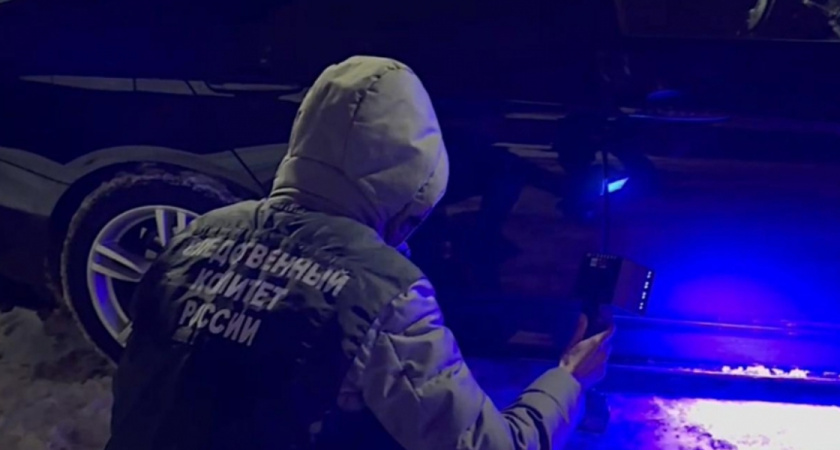 СК в Оренбуржье завершил расследование дела об убийстве матери