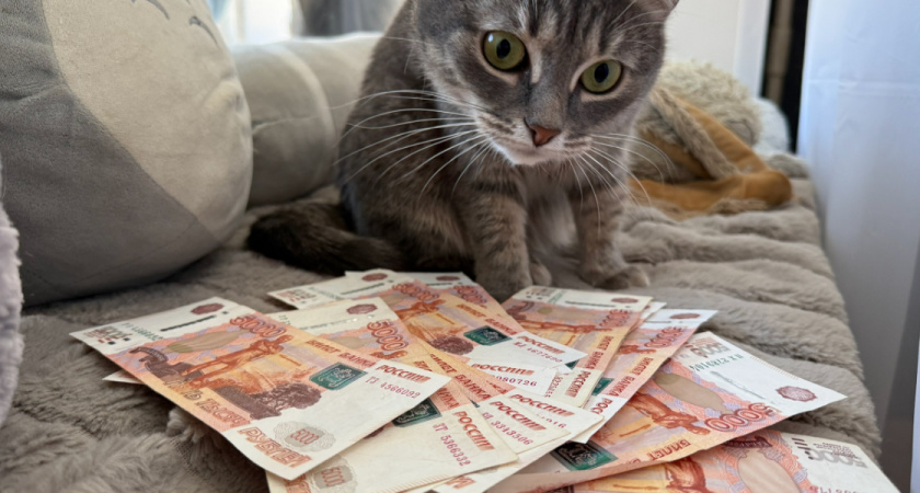 УФСИН Оренбуржья потратил 19 миллионов на камеры в камерах