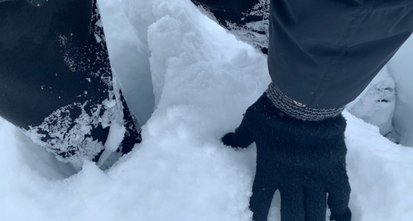 Водитель из Оренбуржья рассказал, почему высадил детей из автобуса в лютый мороз