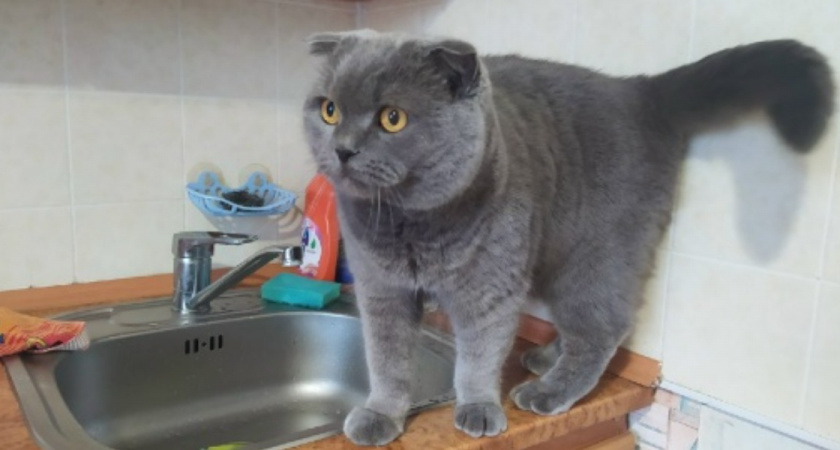 «Воды как в пустыне» – как живут без капли воды в XXI веке