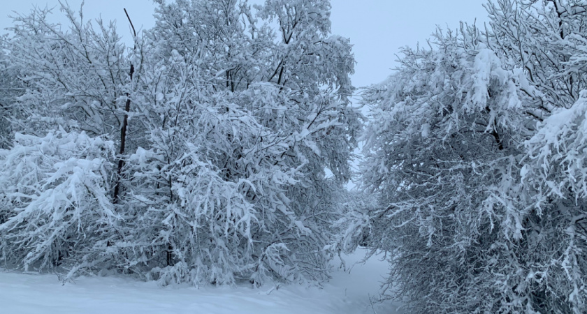 В Оренбуржье тела женщины и ребенка нашли в овраге