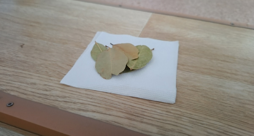 Кидаю "лаврушку" в кипящую воду - и минус 3 насущные проблемы решены: самый важный совет