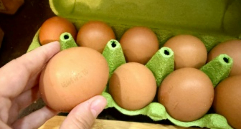 «За что платить больше?» — неужели обычное яйцо становится деликатесом