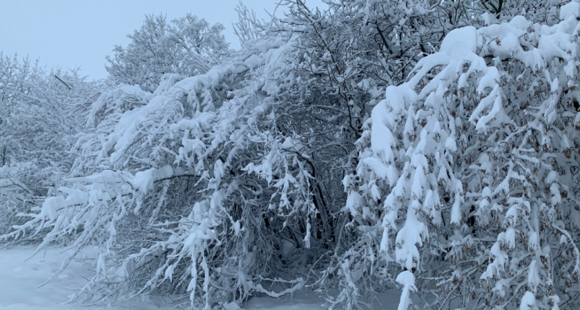 В Оренбурге охотник получил срок за выстрел в родственника