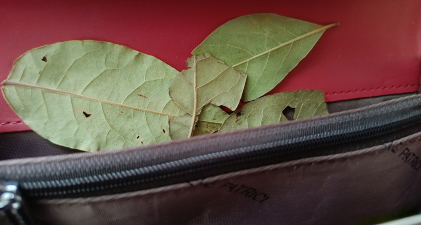 Бабуля всегда держала лавровый лист в кошельке - делаю также и бед не знаю: хотя в приметы особо не верю, но эта сработала