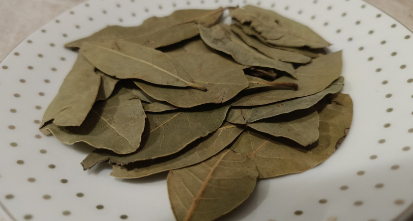 Кладу лавровый лист в карман - и не могу нарадоваться: мудрость предков, которую нужно узнать пока не стукнуло 40 