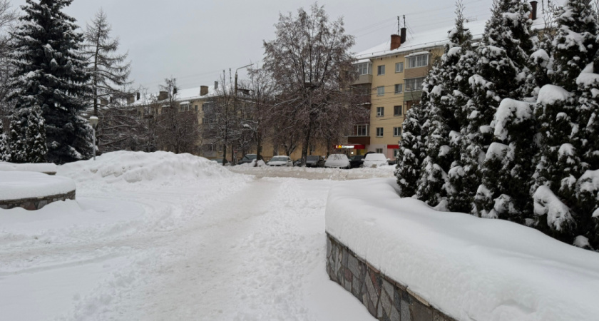 В Оренбурге мужчина и женщина подрались из-за собак