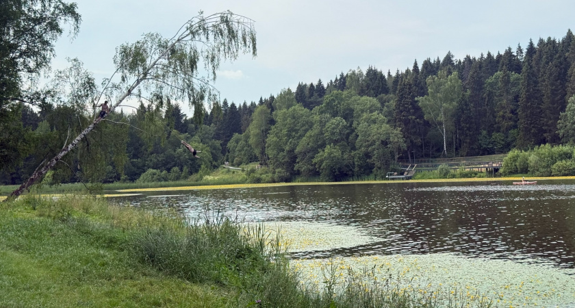 В Оренбурге мэр проверил готовность к паводку и ремонт школ