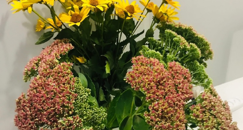 Всем мужчинам на заметку: эксперты Роскачества назвали убийц в красивой упаковке - такие цветы точно не нужно дарить 